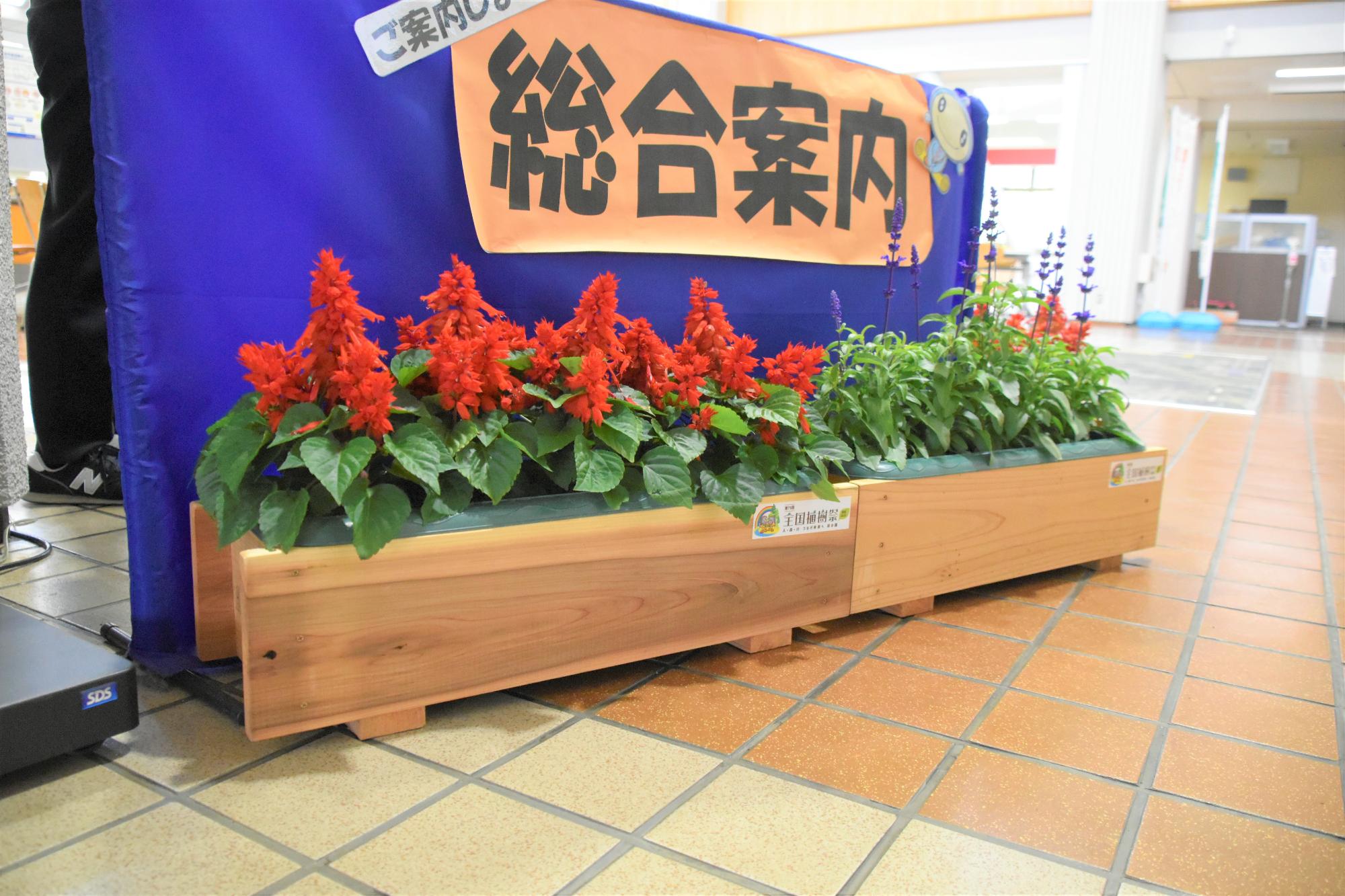 植樹祭花2