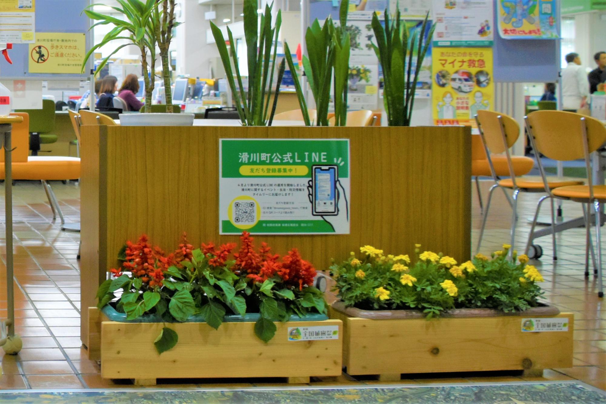 植樹祭花2