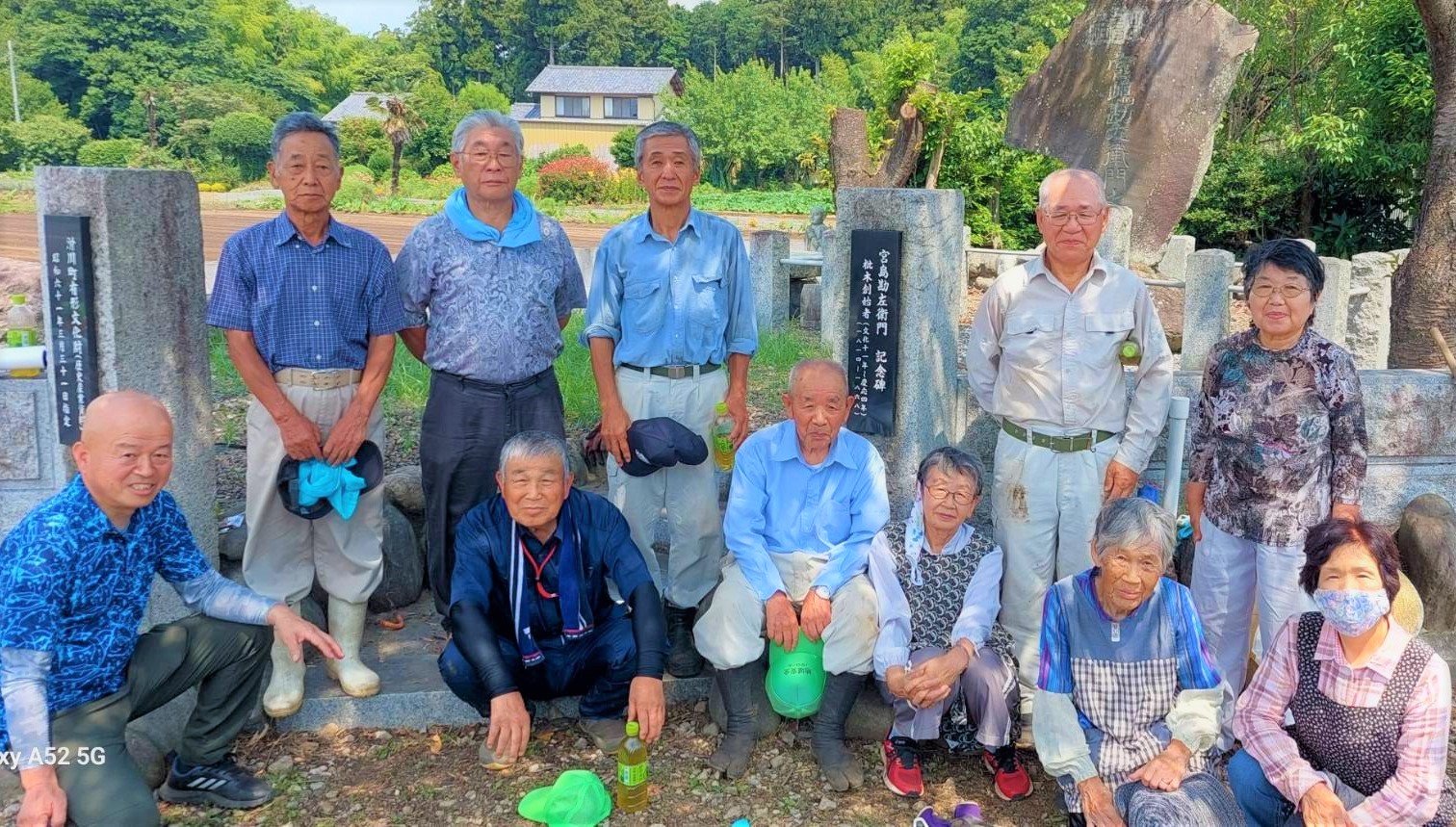 ひまわりの種植え