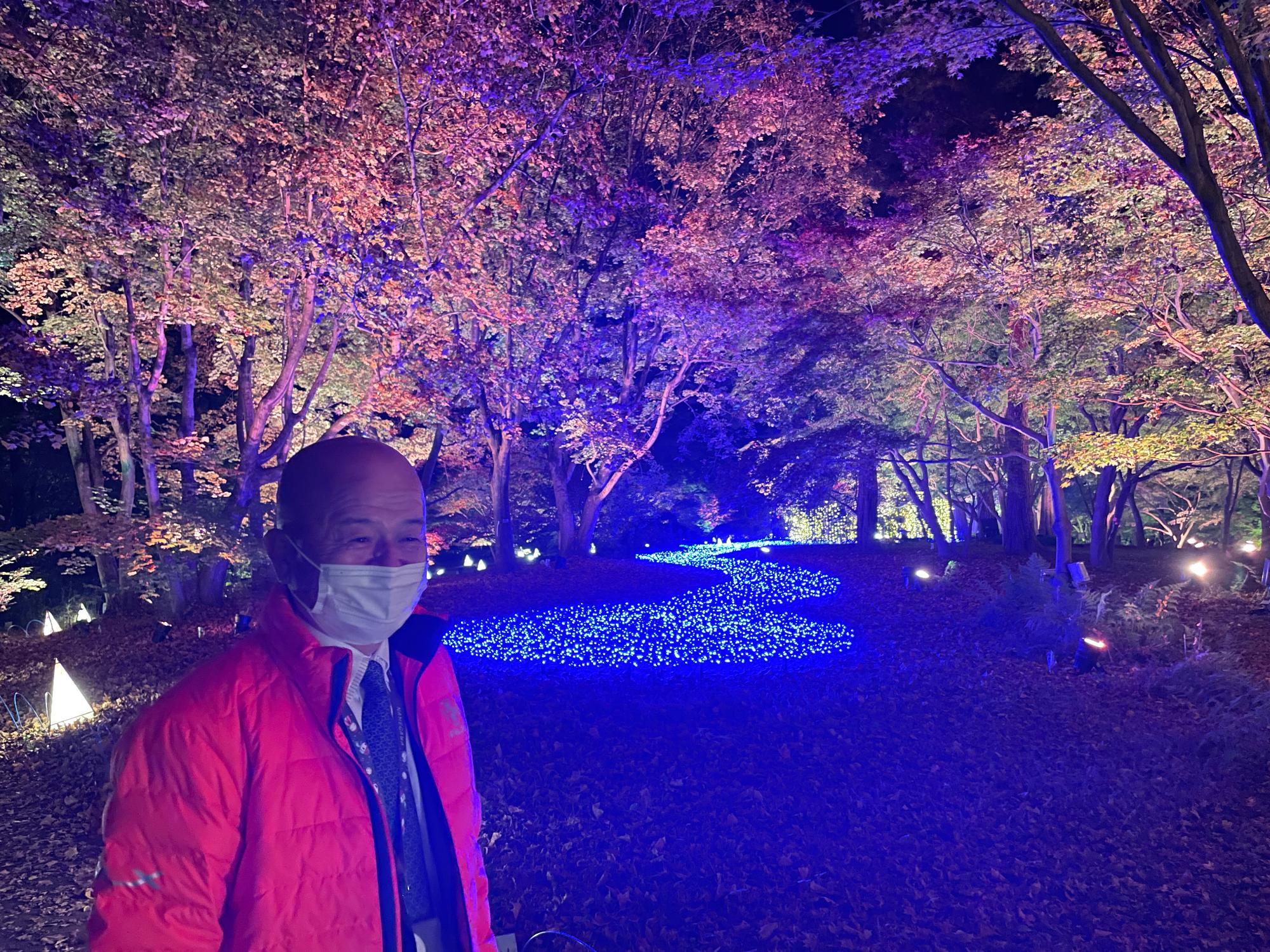 森林公園の様子