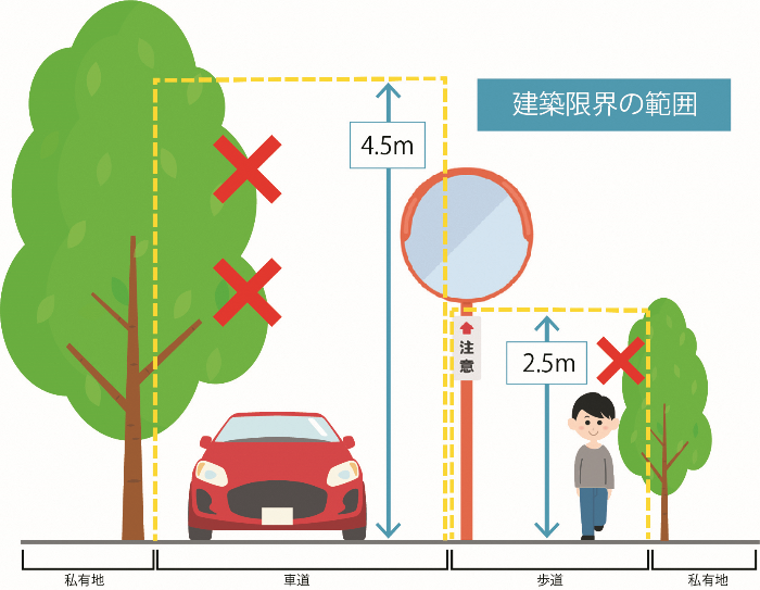 道路に飛び出してる樹木の画僧