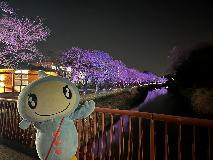 さくらとターナちゃん写真