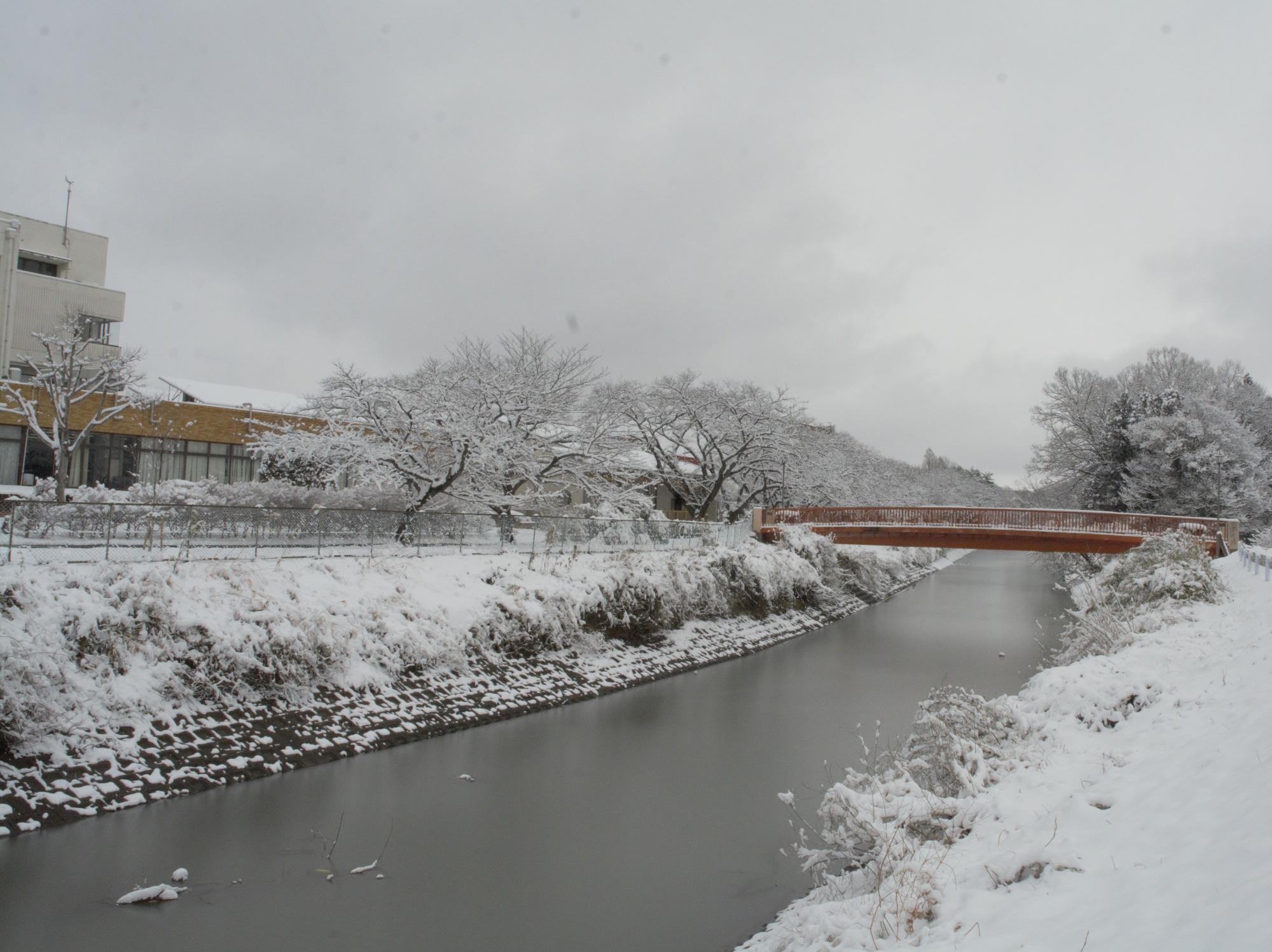 雪景色の滑川町役場とふれあい橋