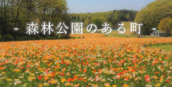 - 森林公園のある町 -