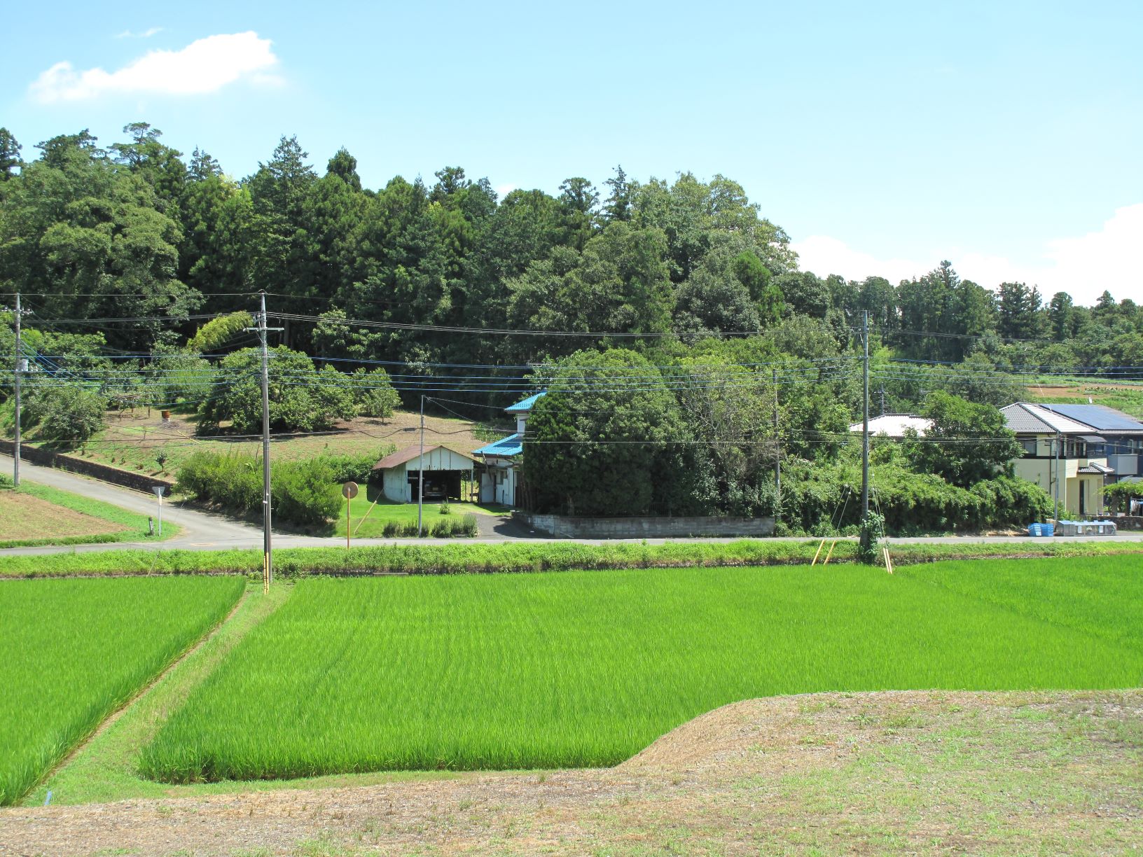 三門館跡南側からの遠景