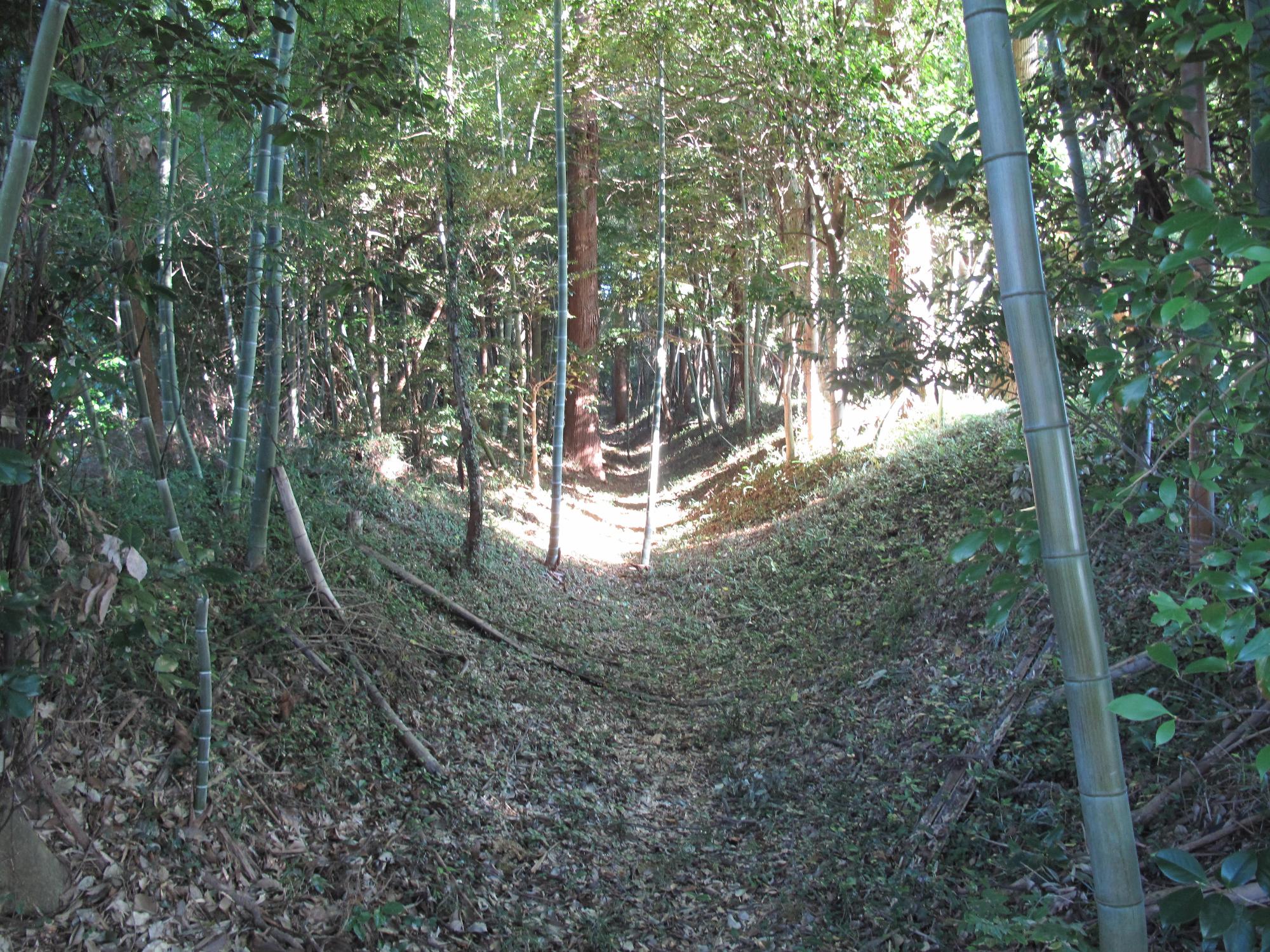 三門館跡西側の土塁と空堀