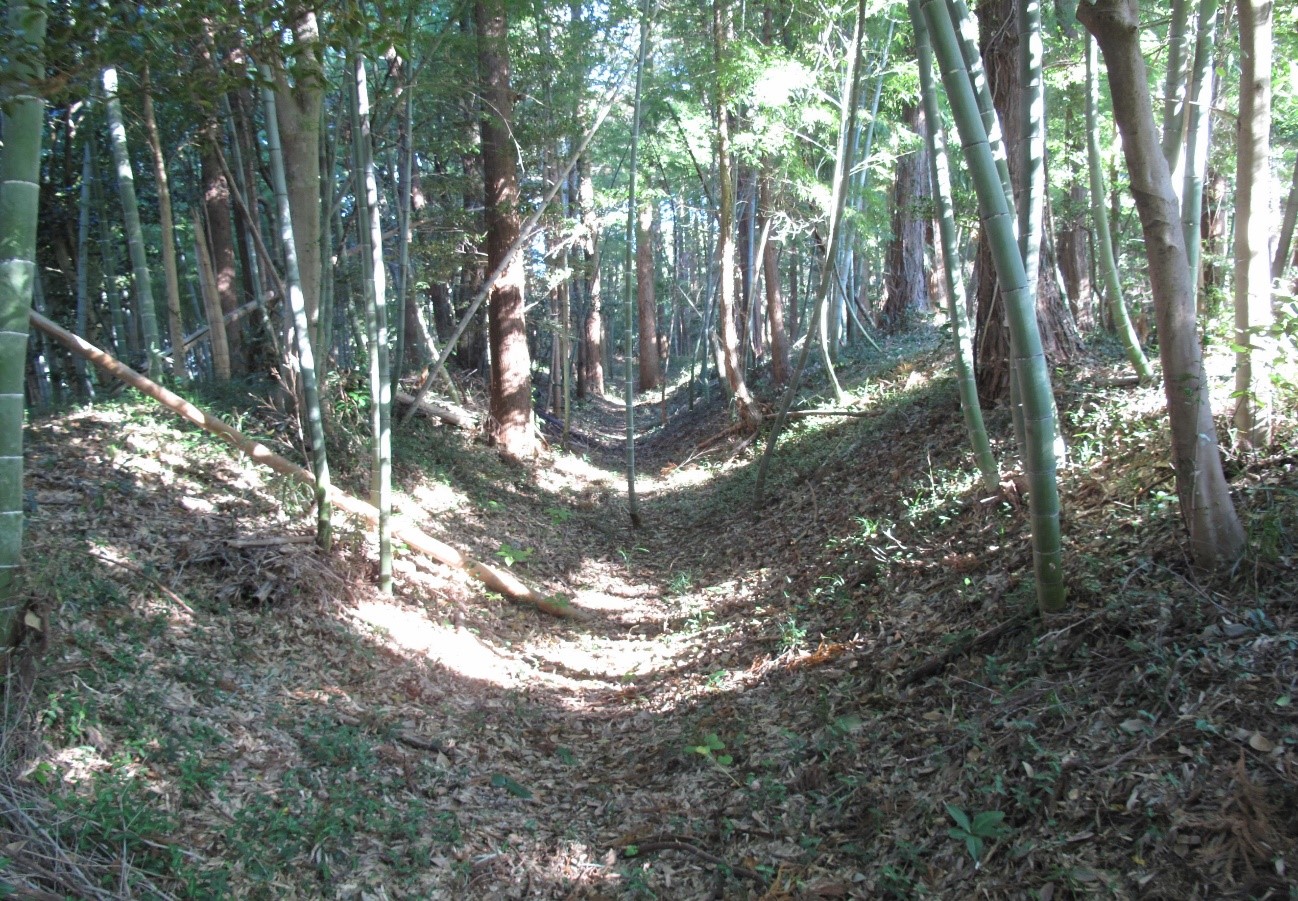 三門館跡の土塁と空堀