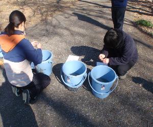 令和8年2月分水質1