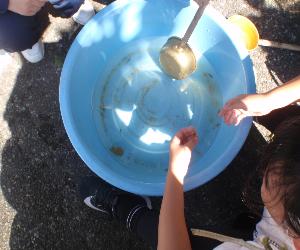 令和7年9月分生き物