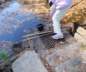 令和7年11月分水採取