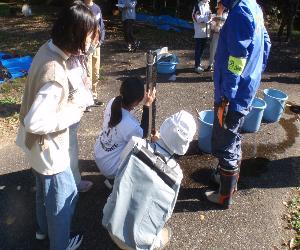 令和7年11月分透視度