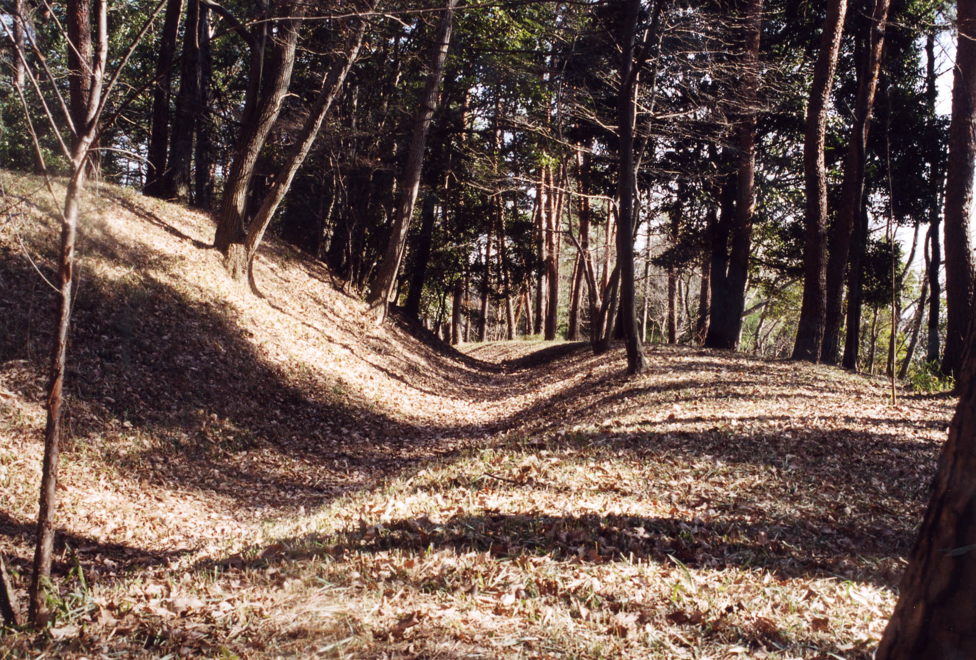 山田城跡南空堀