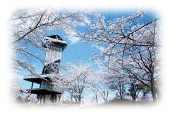 青い空に桜がきれいに咲いている先に見える二ノ宮山展望台の外観写真