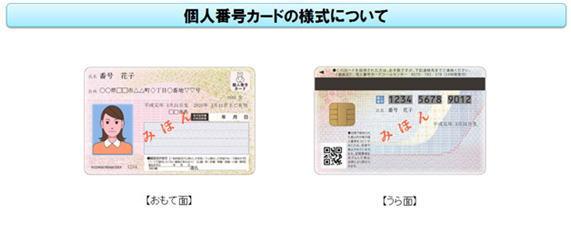 個人番号カード【おもて面】と【うら面】のみほん