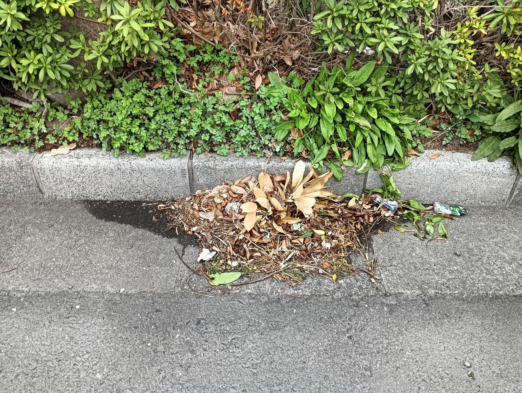 清掃前