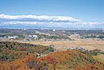二ノ宮山山頂から眺望した滑川町一円の田んぼや紅葉色に色付いた木々などの写真